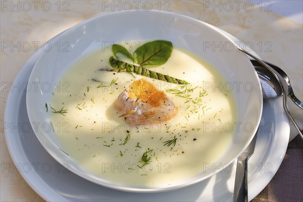 Southern German cuisine, sorrel soup with char, freshwater fish, soup arranged in a plate, herbs, fresh sorrel, blood sorrel, dill, toothpick, savoury, salty, traditional cuisine, food photography, studio, Germany, Europe