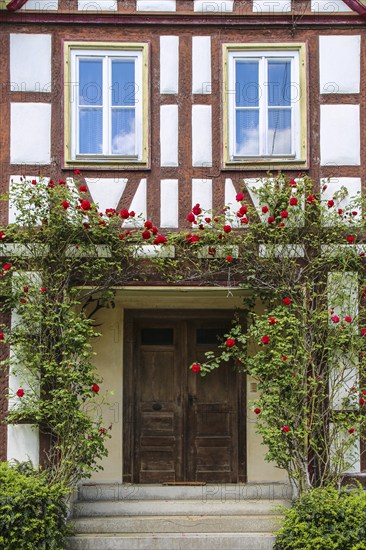 Wooden door, half-timbered house, windows, climbing roses, stairs, facade, Oppenweiler, Rems-Murr-Kreis, Baden-Württemberg, Germany, Europe