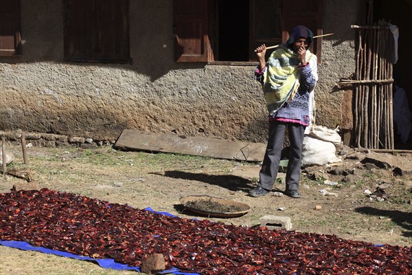 In the museum on Mount Entoto near Addis Ababa, drying peppers, Ethiopia, Africa