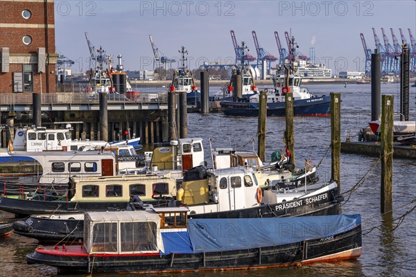 The Övelgönne district of Othmarschen, on the Elbe, museum harbour, historic ships and boats, in the back the new tugboat pier, Hamburg, Germany, Europe