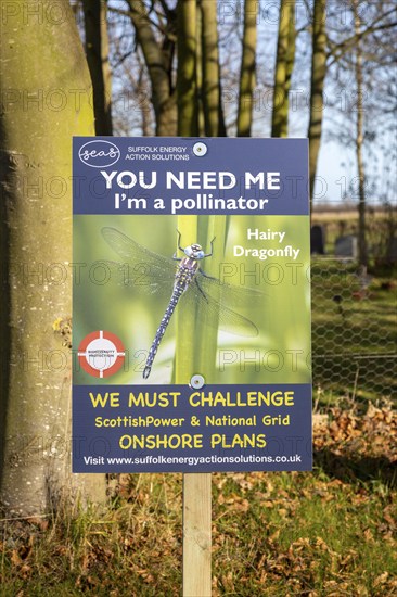 Campaign poster opposing Scottish Power and National Grid onshore electricity substation plans, Friston, Suffolk, England, UK, hairy dragonfly