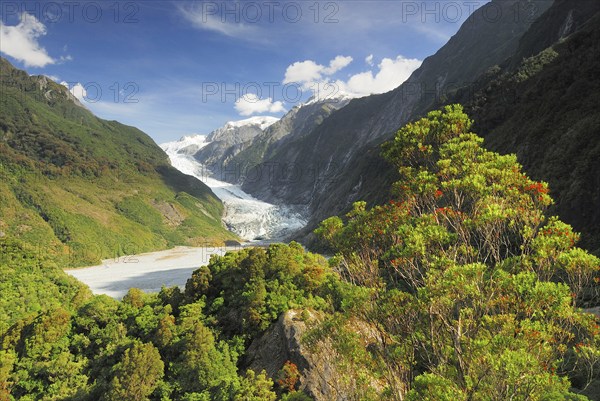 View from Sentinel Rock to Franz Josef Glacier, Westland National Park, South West New Zealand World Heritage Site, Southern Alps, West Coast, South Island New Zealand, Franz Josef Glacier, Southern Alps, New Zealand, Oceania