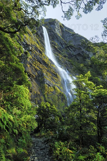 Waterfall on the Routebrun Track, Routeburn Valley, Routeburn Track, Humboldt Mountains, Mount Aspiring National Park, Otago, South Island New Zealand, Routeburn Valley, Otago, New Zealand, Oceania