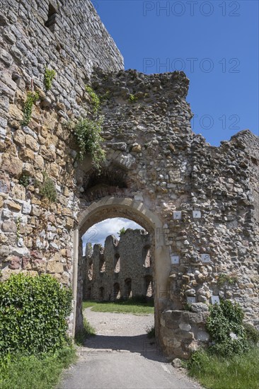 The main portal of the ruins of Staufen Castle on the Schlossberg, Staufen im Breisgau, wine-growing region, Markgräflerland, Black Forest, Baden-Württemberg, Germany, Europe