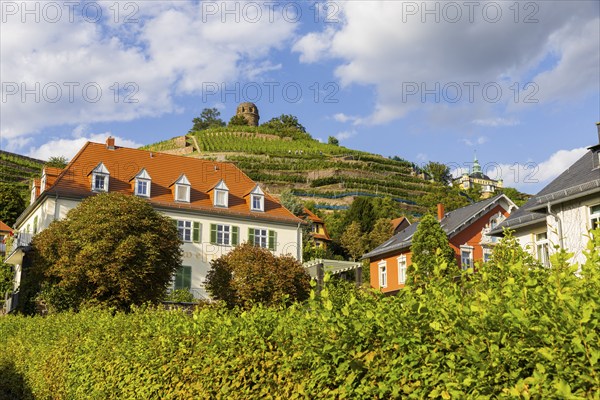 Weingut am Goldenen Wagen. The Spitzhaus is a former summer residence in the Saxon town of Radebeul. The building, which can be seen from afar, is located on the edge of the slope of the Elbe valley basin above Hoflößnitz in the Oberlößnitz district. Even after its renovation and reopening in 1997, the heritage-protected (1) landmark of Radebeul at Spitzhausstraße 36 still serves as an excursion restaurant with a sweeping view over the Elbe valley and as far as Dresden, vineyards in Radebeul, Radebeul, Saxony, Germany, Europe