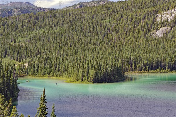 Paddlers on turquoise green lake on wooded slopes, summer, Emerald Lake, Yukon Territory, Canada, North America