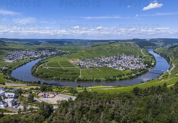 Panoramic view of a winding river surrounded by vineyards and a village with blue sky and clouds in the background, aerial view, Moselle, Moselschleife, Leiwen, view of Trittenheim, Trier-Saarburg, Rhineland-Palatinate, Germany, Europe