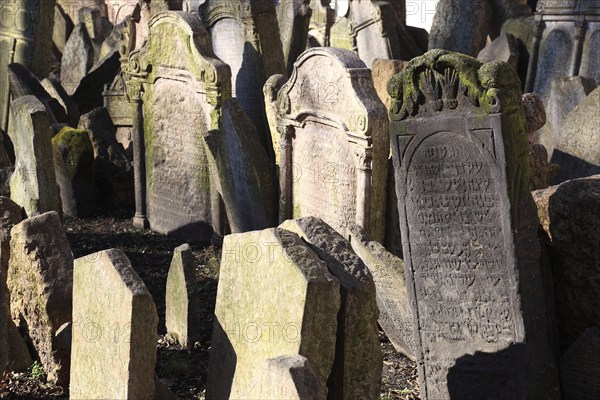 The Old Jewish Cemetery in the Josefov district is one of the most historically significant Jewish cemeteries in Europe. It contains over 12, 000 gravestones and presumably the remains of 100, 000 people, Prague, Czech Republic, Europe