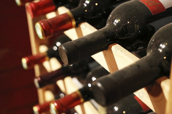 Wine cellar with red wine bottles