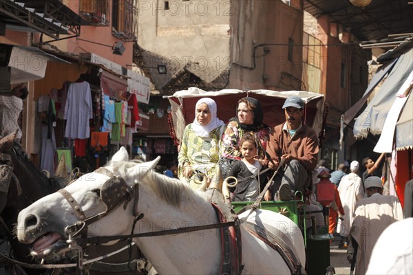 Carriage in the souk of Marrakech, Morocco, Africa