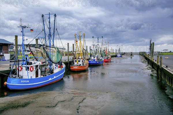 Harbour with shrimp boats at low tide, Dorum-Neufeld, Dorum, Wurster North Sea coast, Land Wursten, Cuxland, Lower Saxony, Germany, Europe