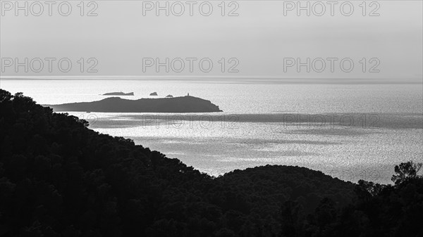 Foggy morning atmosphere in the bay of Sant Antoni, in the background the island of Conillera, black and white photo, Ibiza, Balearic Islands, Mediterranean Sea, Spain, Europe