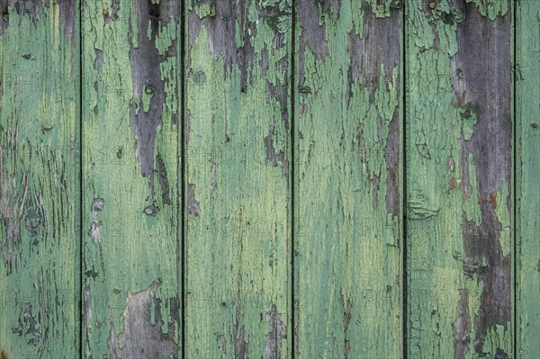 Old wooden door with peeling paint, texture, background, Münsterland, North Rhine-Westphalia, Germany, Europe