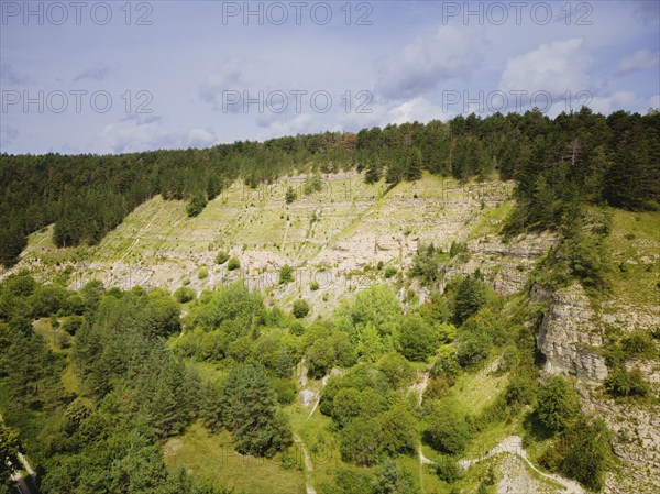 The Ohrdruf satellite camp was established in November 1944. On Hitler's orders, a new Führer headquarters was to be built in the Jonastal, Arnstadt, Thuringia, Germany, Europe