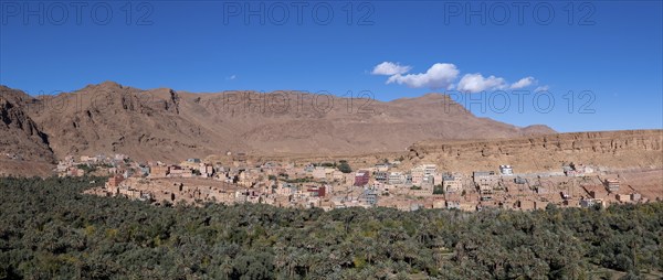 Oasis with traditional mud houses and date palms, on the edge of the Todra Gorge or Gorges du Toudra, near Tinghir, Morocco, Africa