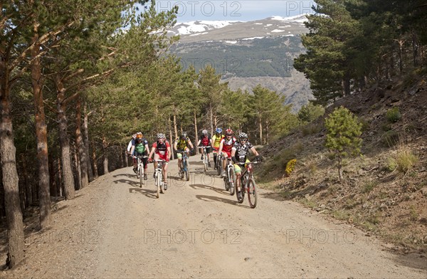 Cycling in the Sierra Nevada Mountains in the High Alpujarras, near Capileira, Granada Province, Spain, Europe