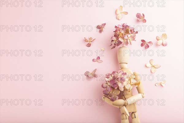 Wooden mannequin holding hydrangea flowers on pink pastel background. copy space, isolated, spring, gardening concept