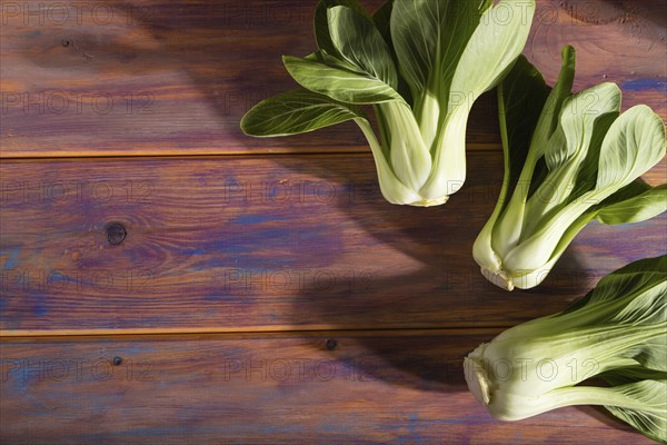 Fresh green bok choy or pac choi chinese cabbage on a colored wooden background. Hard light, contrast. Side view, copy space, selective focus