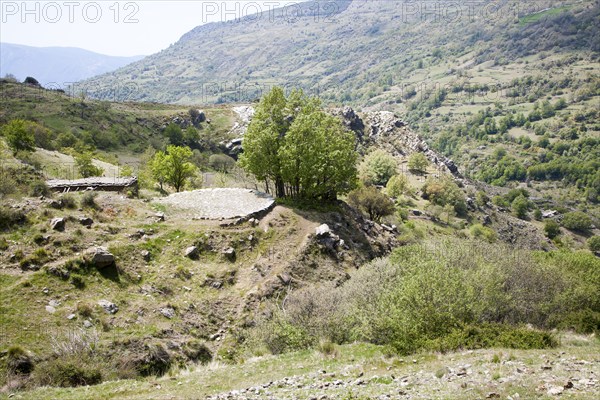 Landscape of the River Rio Poqueira gorge valley, High Alpujarras, Sierra Nevada, Granada Province, Spain, Europe