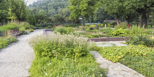 Bernardine Gardens park in the center of Vilnius, Lithuania, Europe