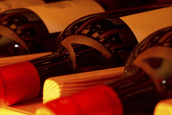 Wine cellar with red wine bottles