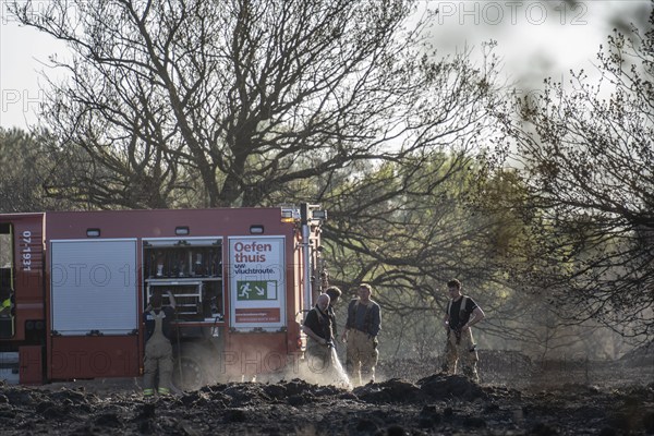 Forest fire in the German-Dutch border region near Niederkrüchten-Elmpt, in a nature reserve, post-extinguishing work