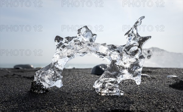 Ice, piece of ice on black sand beach, on black lava beach Diamond Beach, Southeast Iceland, Iceland, Europe