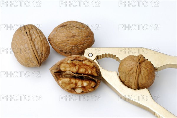 Walnuts (Juglans regia) and nutcrackers