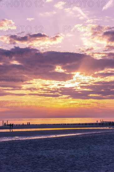 Beautiful Sunset at the Seaside with golden light and Violet clouds