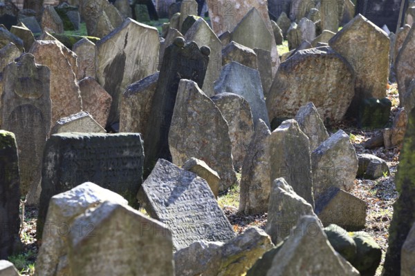 The Old Jewish Cemetery in the Josefov district is one of the most historically significant Jewish cemeteries in Europe. It contains over 12, 000 gravestones and presumably the remains of 100, 000 people, Prague, Czech Republic, Europe