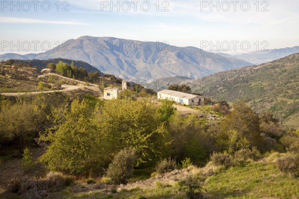 Landscape in the High Alpujarras, near Capileira, Granada Province, Spain, Europe