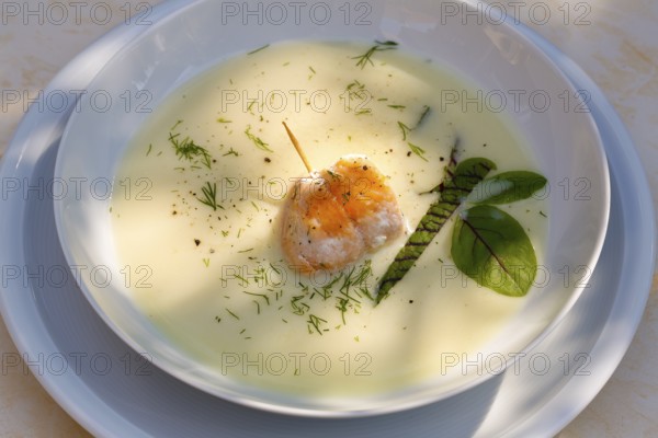 Southern German cuisine, sorrel soup with char, freshwater fish, soup arranged in a plate, herbs, fresh sorrel, blood sorrel, dill, toothpick, savoury, salty, traditional cuisine, food photography, studio, Germany, Europe