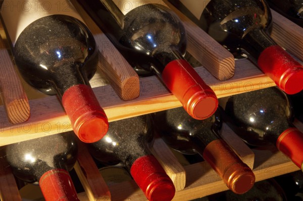 Wine cellar with red wine bottles