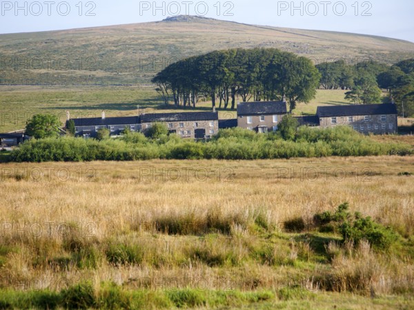 Bright sunny morning weather with a row of former miners terraced houses on moorland, Dartmoor national park, near Postbridge, Devon, England, UK