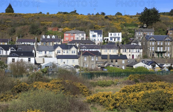 Rows of historic houses inn rural setting, Youghal, County Cork, Ireland, Irish Republic, Europe