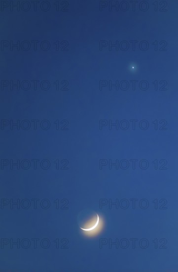 Narrow crescent moon with a halo (corona) and visible moon disc shortly after the new moon, evening star, planet Venus, dark blue evening sky, cloudless, Lüneburg Heath, Lower Saxony, Germany, Europe