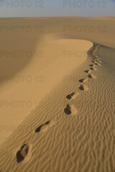 Footprints on a dune in the Nubian Desert in Dongola, Northern, Nubia, Sudan, Africa