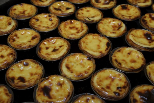 The famous pastéis cream tarts of the Confeitaria dos Pastéis de Belém pastry shop, Belém, Lisbon, Lisbon District, Portugal, Europe