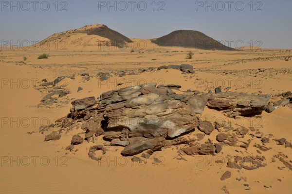 Landscape, Bayuda Desert, asch-Schamaliyya, Nubia, Sudan, Africa