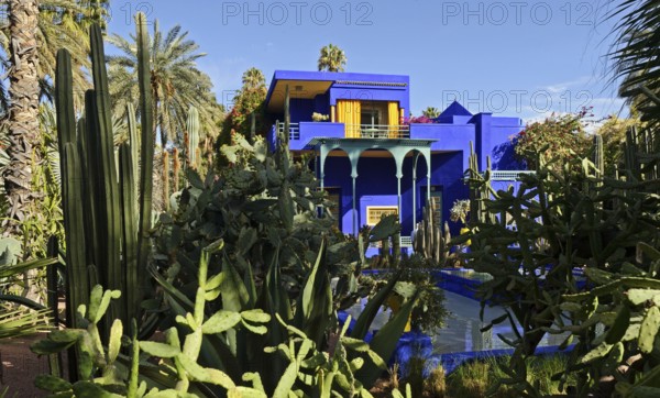 Morocco, Jardin Majorelle Botanical Garden in Marrakech, Africa