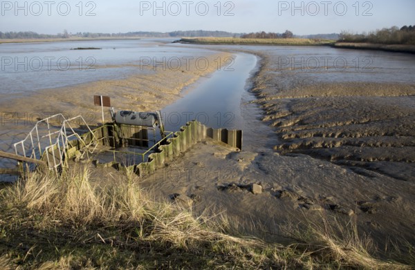 Drainage sluice at low tide Kirton Creek, River Deben, Hemley, Suffolk, England, UK