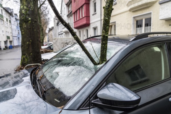 North Rhine-Westphalia, Germany, storm damage, a good 4 metre long branch was broken off by the storm during storm Zoltan and smashed through the windscreen of a parked vehicle, Essen, Europe