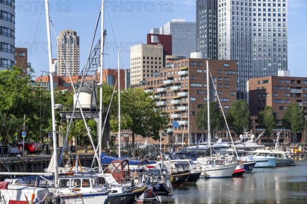 Rotterdam Marina, behind residential high-rise buildings at Spoorweghaven, pleasure craft harbour, sailing boats, motor yachts, in the inland harbour, Feijenoord district, Rotterdam, Netherlands