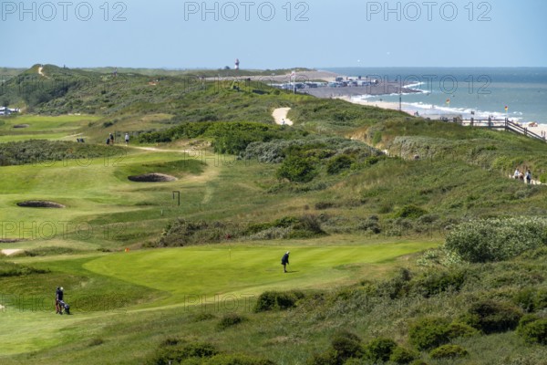 Golf course in the dunes, Domburg Golf Club, Domburg in Zeeland, seaside resort, coast, Netherlands