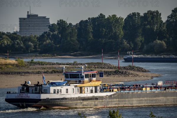 Rhine between Düsseldorf and Neuss, extremely low water, Rhine level at 47 cm, falling, barge in front of the sandbank, freighters may only travel with very reduced cargo and very slowly, North Rhine-Westphalia, Germany, Europe