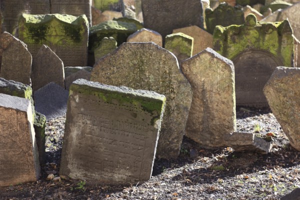 The Old Jewish Cemetery in the Josefov district is one of the most historically significant Jewish cemeteries in Europe. It contains over 12, 000 gravestones and presumably the remains of 100, 000 people, Prague, Czech Republic, Europe