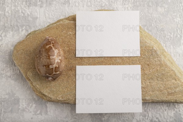 White paper business card, mockup with natural stone and seashell on gray concrete background. Blank, flat lay, top view, still life, copy space