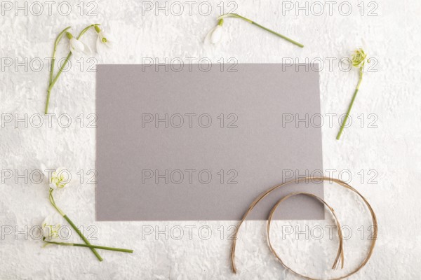 Gray paper sheet mockup with spring snowdrop galanthus flowers on gray concrete background. Blank, business card, top view, flat lay, copy space, still life. spring concept