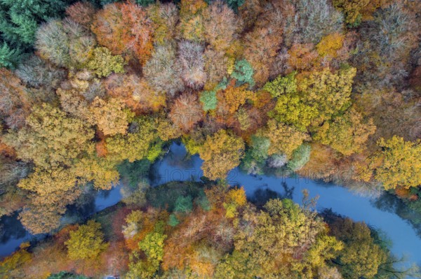 Aerial view of the Hunte in autumn, Meander, Hunte loop, Hunte, river, tree, forest, autumn colours, Huntepadd, Dötlingen, Lower Saxony, Germany, Europe