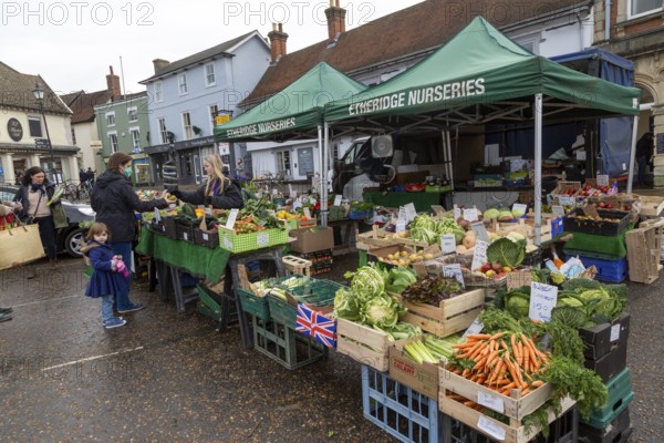 Market stall in town centre selling fruit and vegetables, greengrocer, Framlingham, Suffolk, England, UK